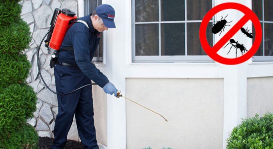 Çandarlı Böcek ve Haşere İlaçlama böcek ilaçlama ve haşere kontrolü — ilaclama-tr.com